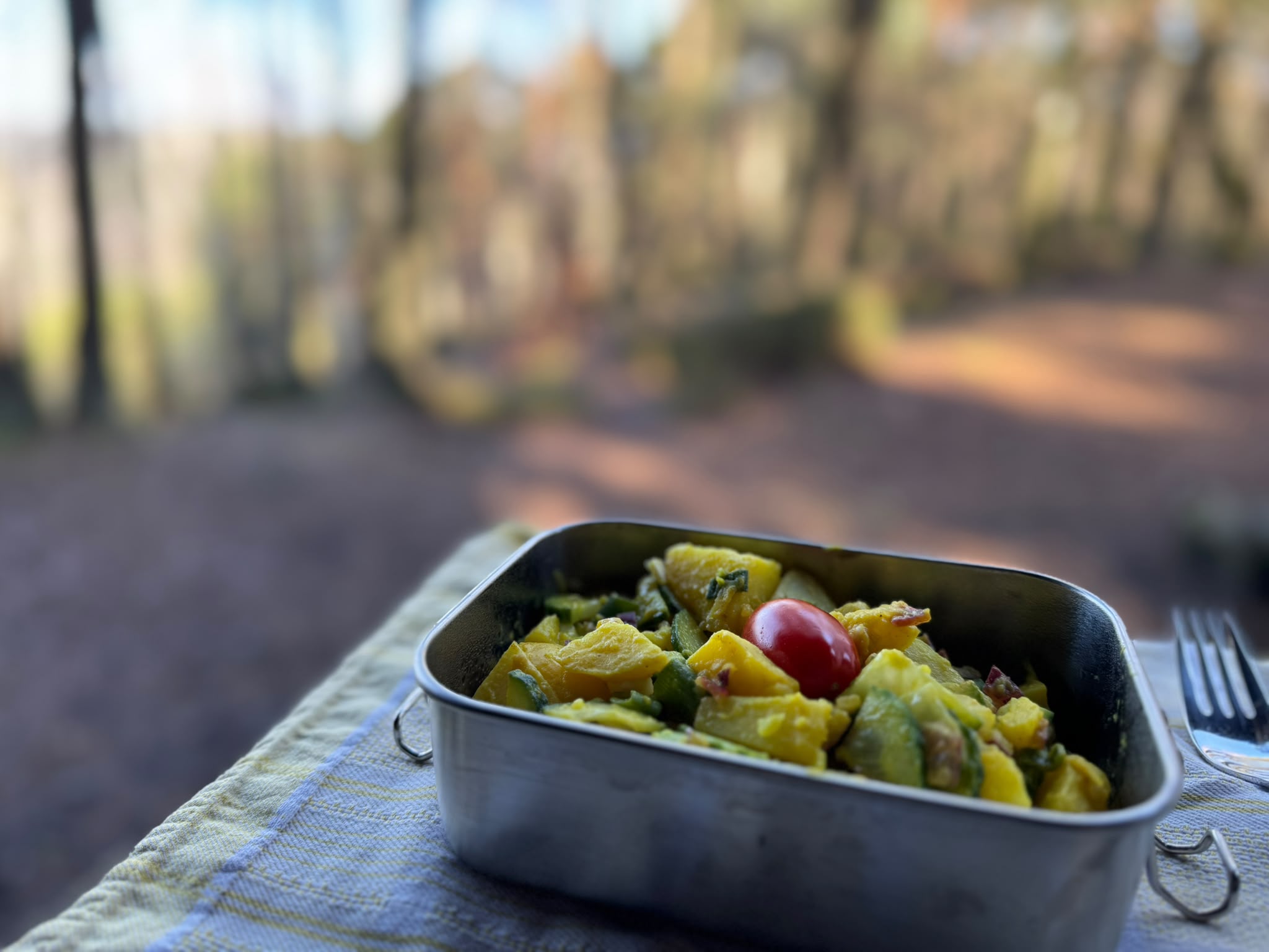 Einfache Mahlzeit aus der Lunchbox unterwegs
