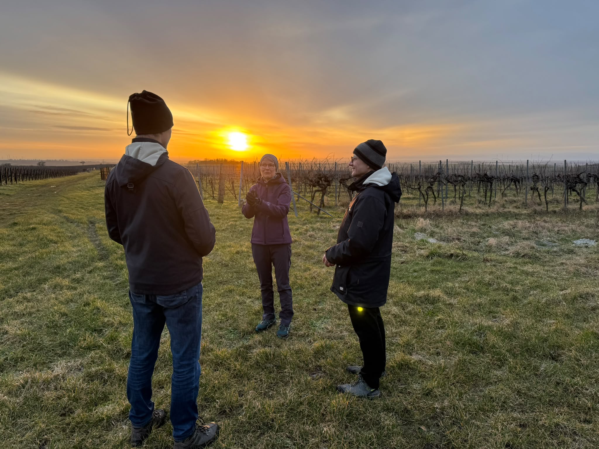 Kleine Gruppe beim Spaziergang durch die Weinberge der Südpfalz